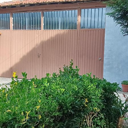 Casa Da Vovo Ceu - Casa De Campo Gandaresa - Country House, Entre Coimbra E Aveiro, A 15 Minutos Carro Praia Mira - Quintal Com Piscina Insuflavel Cantanhede Exteriér fotografie