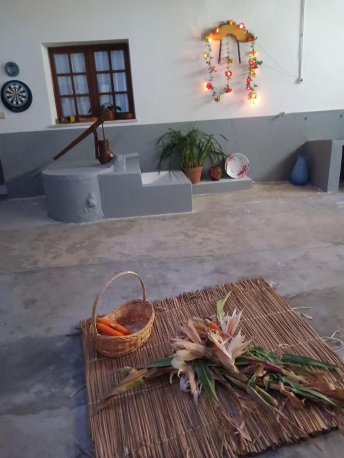 Casa Da Vovo Ceu - Casa De Campo Gandaresa - Country House, Entre Coimbra E Aveiro, A 15 Minutos Carro Praia Mira - Quintal Com Piscina Insuflavel Cantanhede Exteriér fotografie